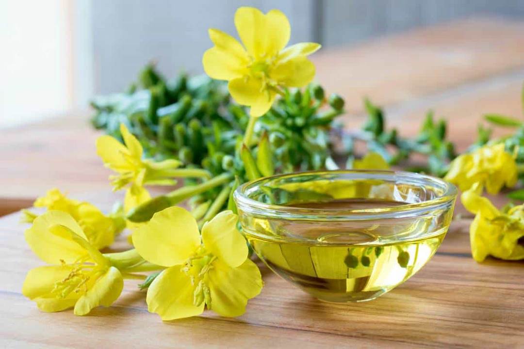 Tác dụng tuyệt vời của hoa với ngày đèn đỏ của các chị em