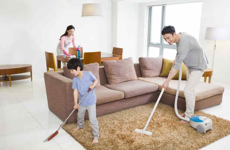 Sâu róm – Phân loại, phòng ngừa, cách trị khi dính lông độc